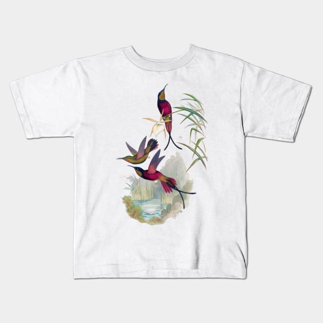 Hummingbirds Kids T-Shirt by TooplesArt